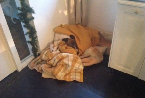 Bram