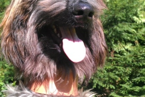Kinah