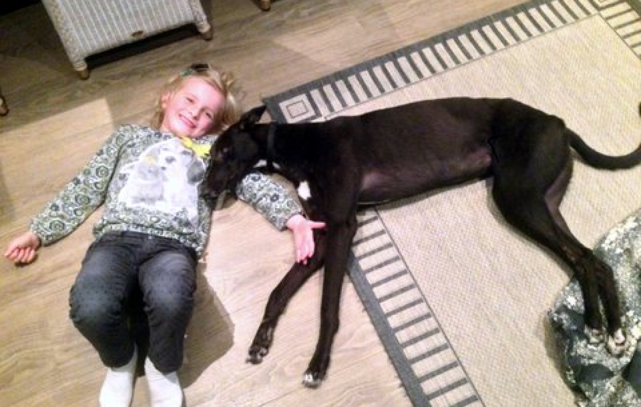 Lila
