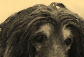 Myra