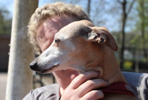 Noortje