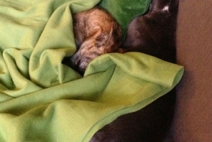 Wiske